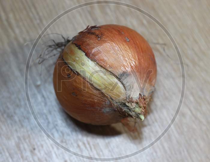 Pure Organic Raw Onion