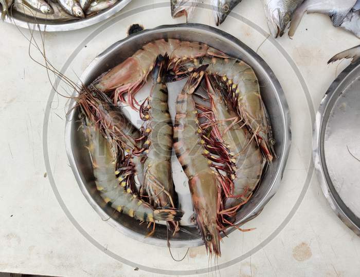 Raw Tiger Shrimps On Dish For Sale. Tiger Prawns