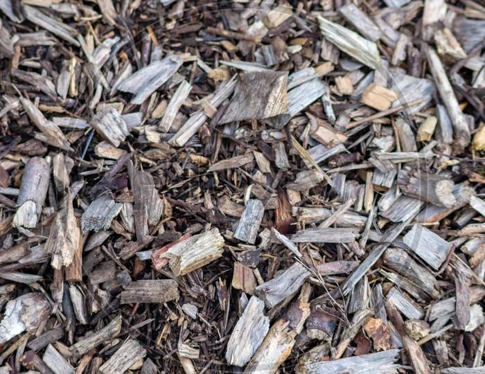 Shredded wood and wood chips after crushed recycling shows natural footpath in a forest or garden with compost or mulch from shaving of wood material as rough surface pattern with wooden fragments