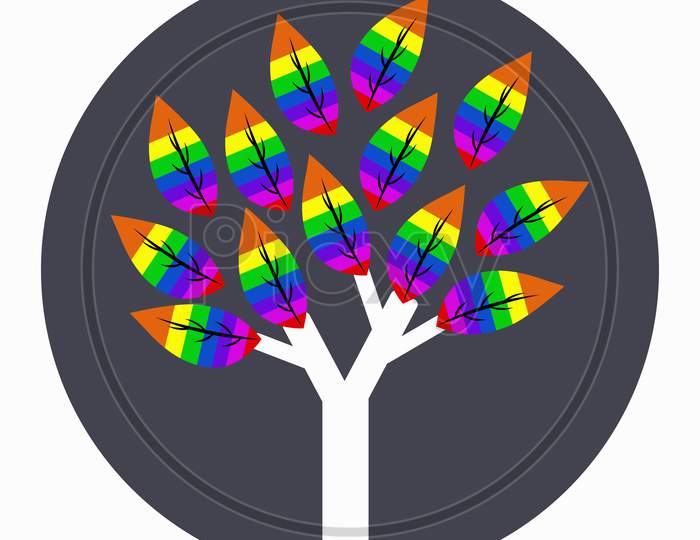 Rainbow  Leaves Tree