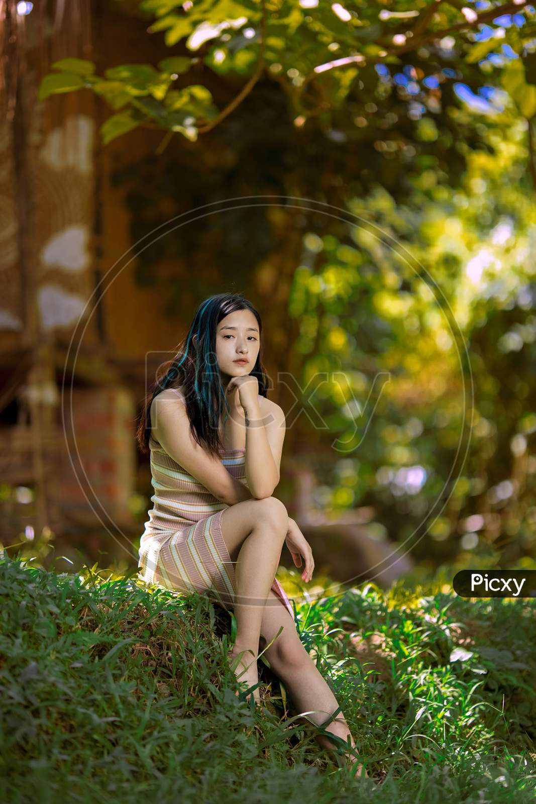 Image of Beautiful northeast Manipur girl-AZ666026-Picxy