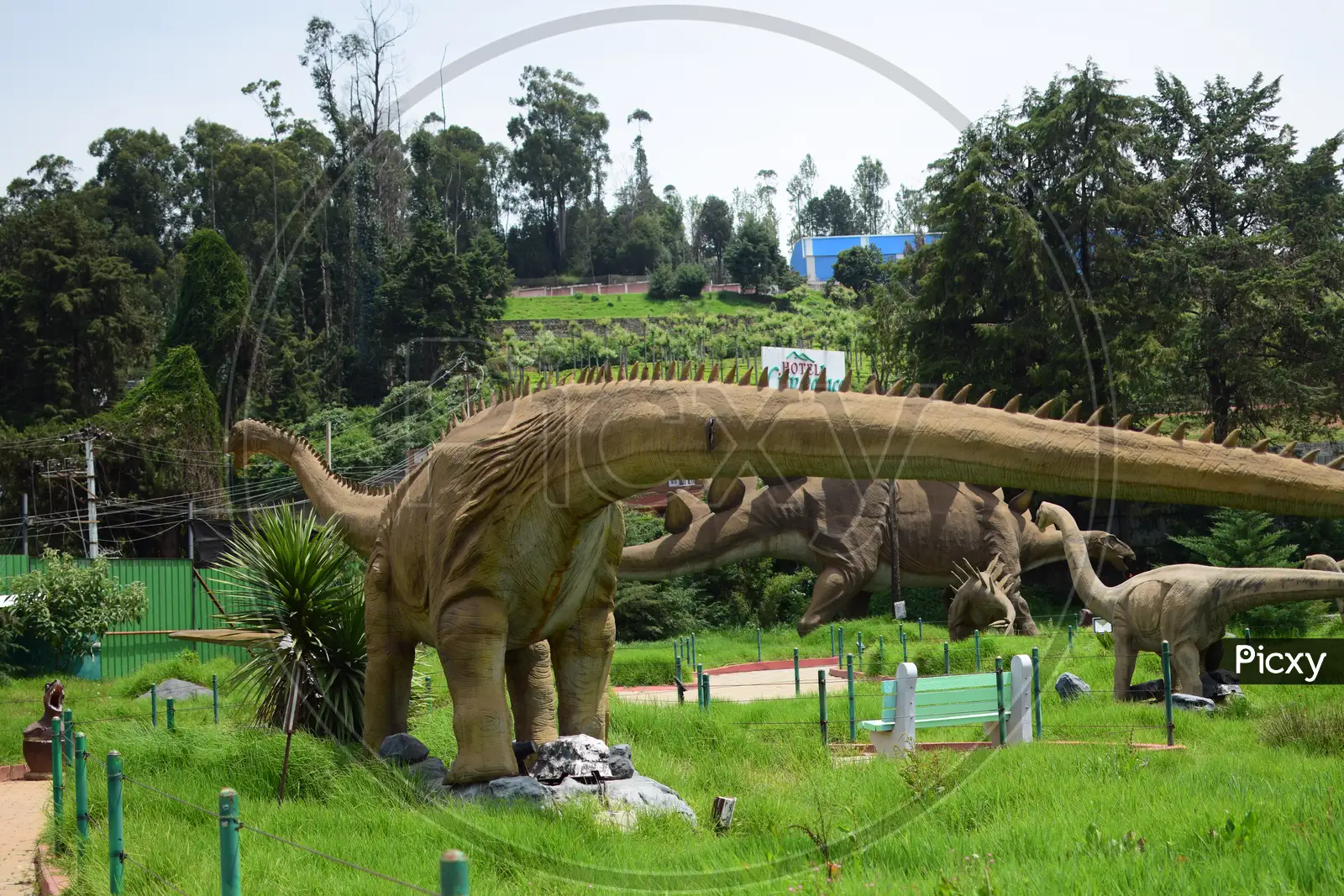 Dinosaur | Facts | क्या दोबारा डायनासोर आ सकता है #dinosaur#facts - YouTube