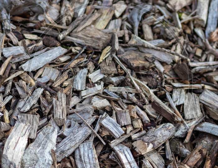 Shredded wood and wood chips after crushed recycling shows natural footpath in a forest or garden with compost or mulch from shaving of wood material as rough surface pattern with wooden fragments