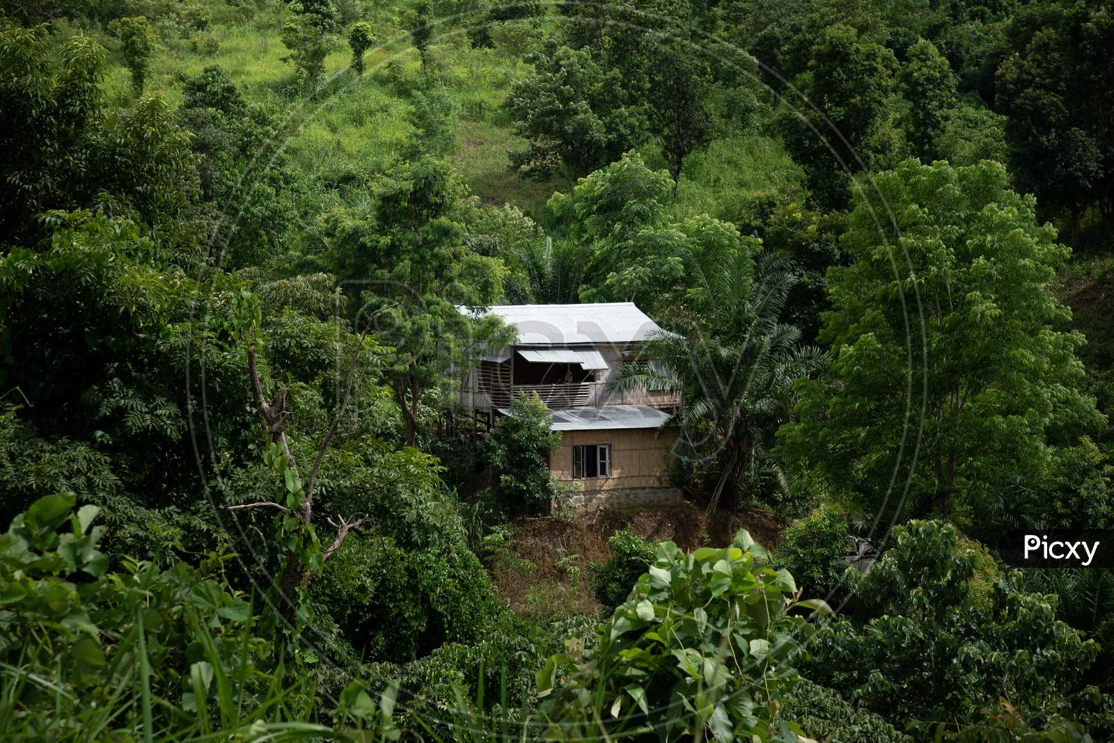 A farmhouse on a bright sunny day on a hillside in Mizoram, India