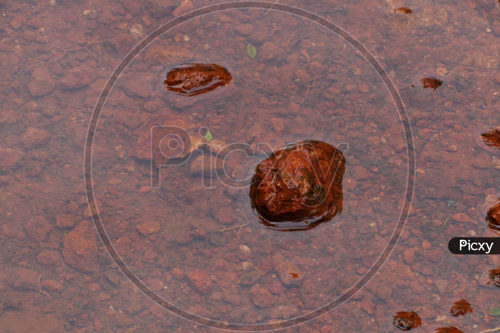 Red Stones Created Pattern In Water