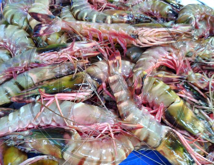 Fresh Prawns In An Indian Fish Market,testy sea food
