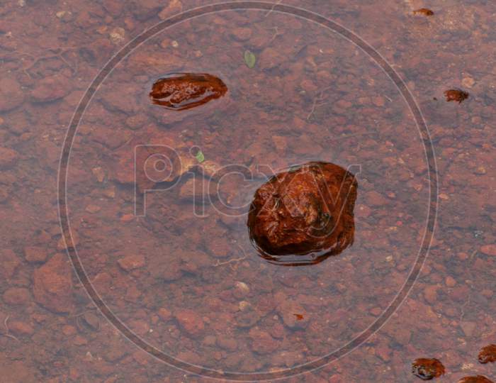 Red Stones Created Pattern In Water