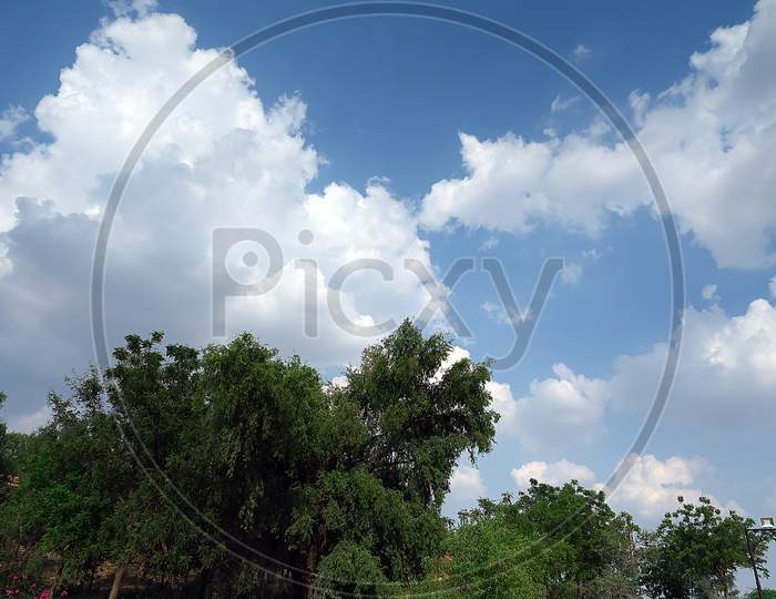 Green Tree Top Line Over Blue Sky And Clouds Background In Summer
