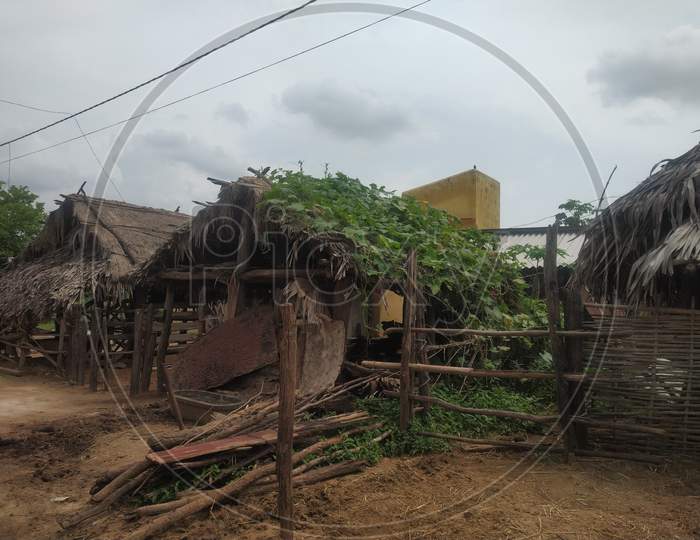 Village shelter, hut