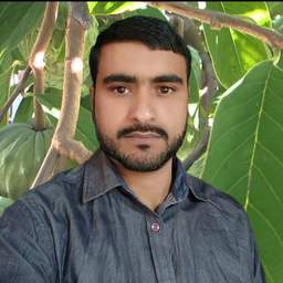 Profile picture of Dheeraj Kumar Tripathi on picxy