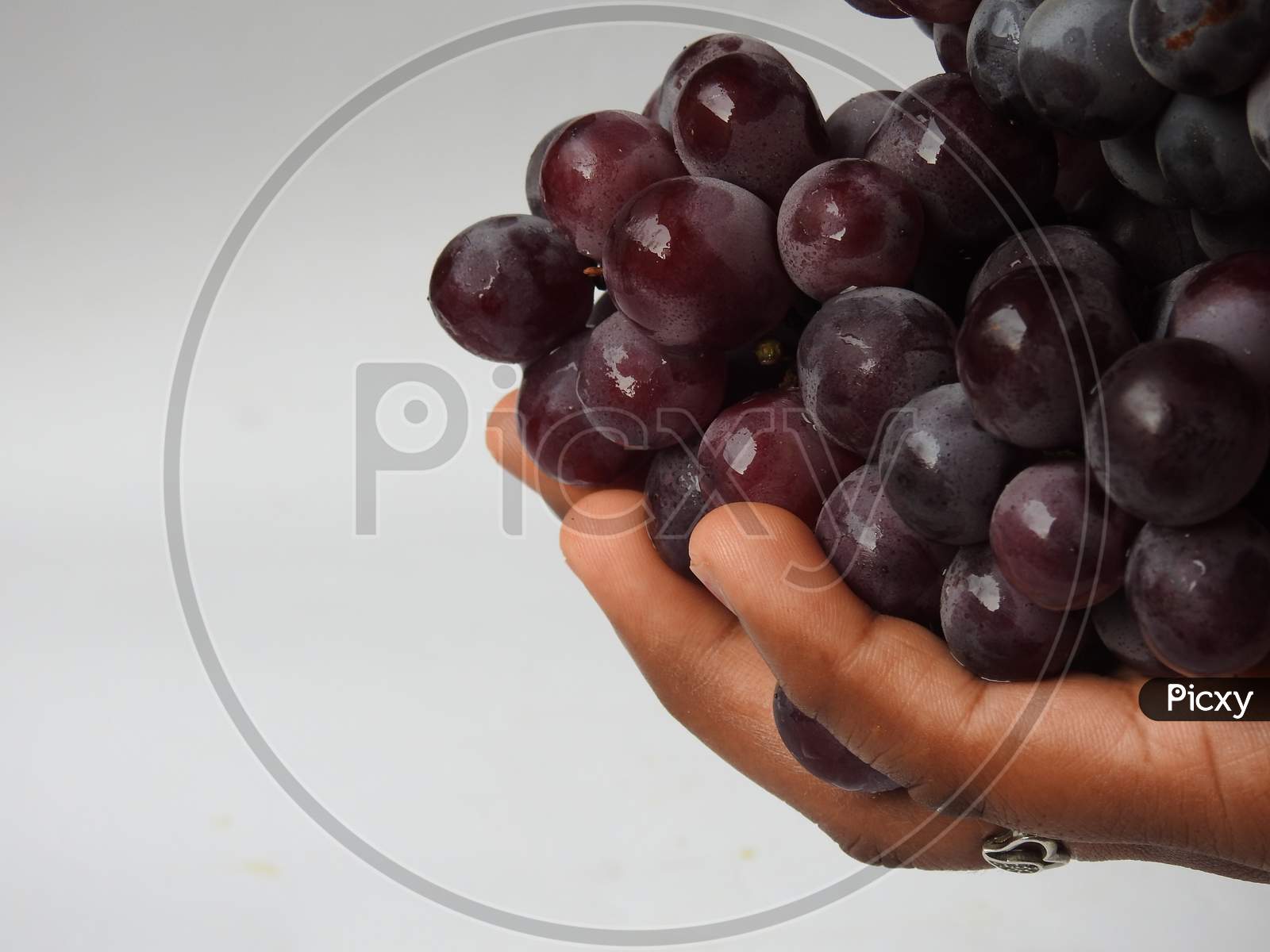 Closeup Of Beautiful Dark Red And Black Color Grape Fruits Bunch Isolated On White Background