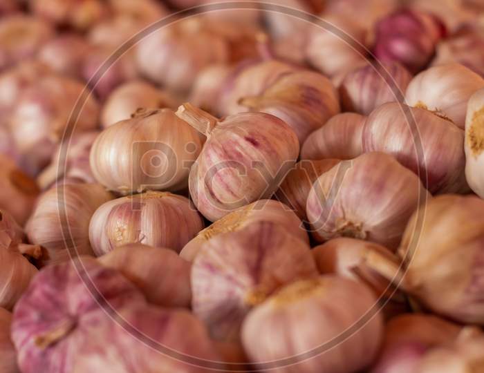 Numerous Heads Of Garlic On The Market. Seasoning Of Natural Origin.