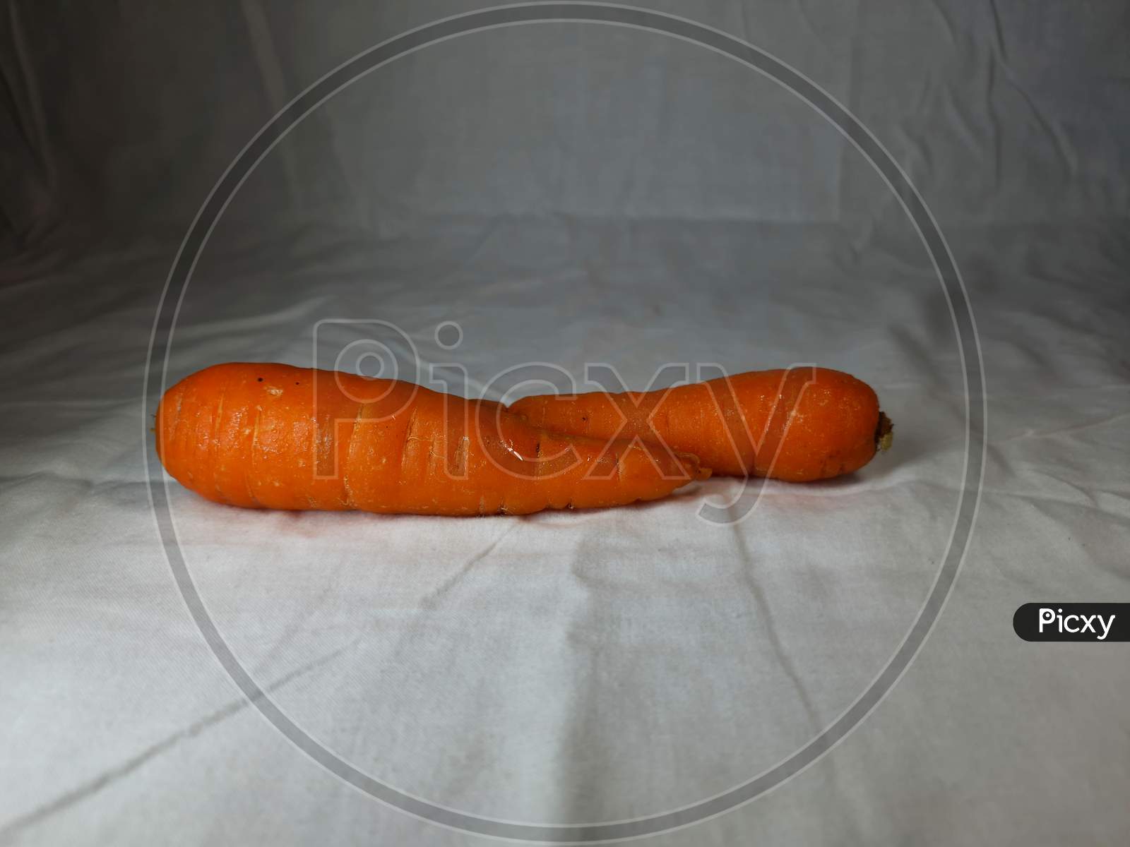 Two Carrots