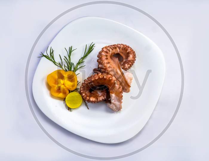 Octopus Salad With On Plate