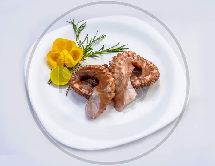 Octopus Salad With On Plate