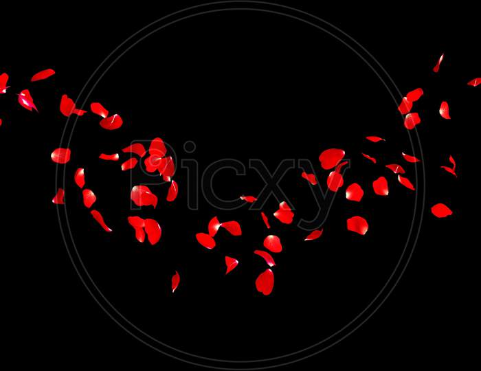 Red Rose Petals Overlay In Black Background