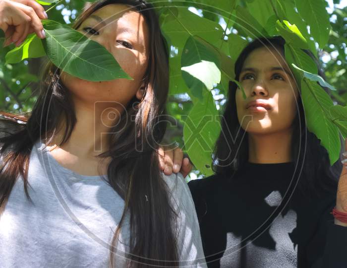 Low angle view of two beautiful south asian young girls posing outside in below leafy tree