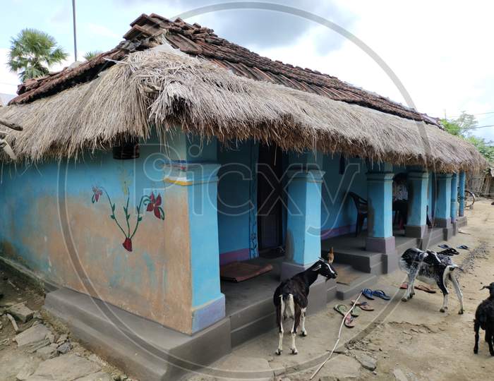 Side view of the house set in the village. The goats are in the front of the house.