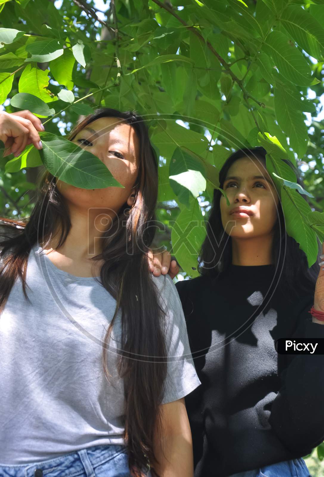 Low angle view of two beautiful south asian young girls posing outside in below leafy tree
