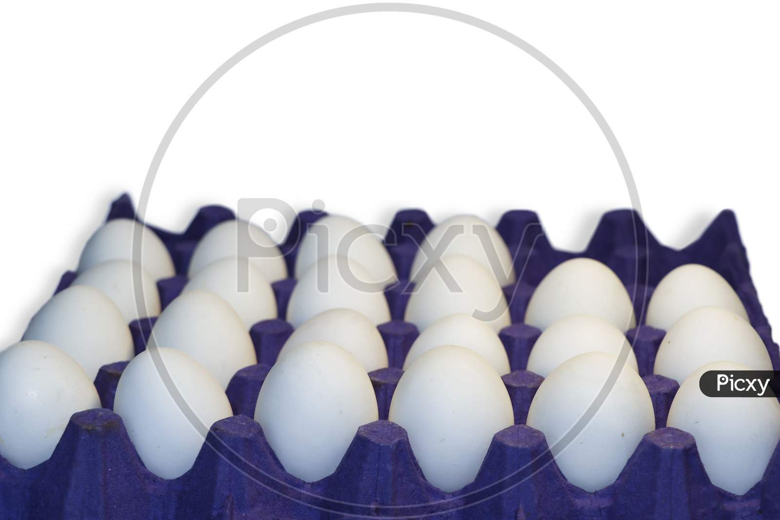White Chicken Eggs In Blue Tray. Selective Focus