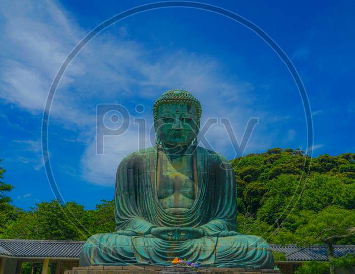 Early Summer Of The Great Buddha Of Kamakura, Which Was Wrapped In Fresh Green