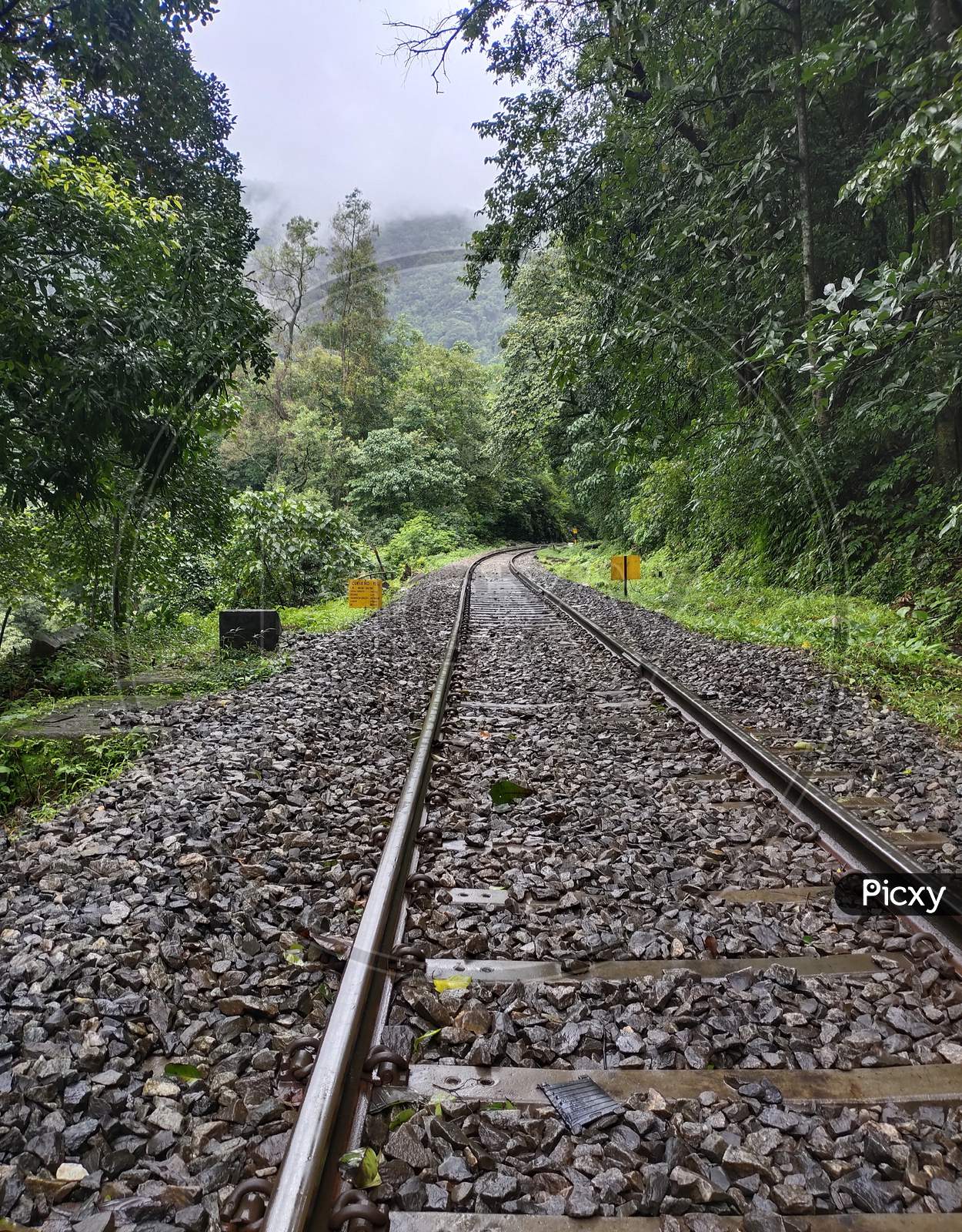 Railway track in a jungle, Dudhsagar treking, Nature.