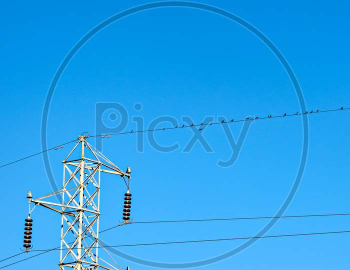 Many Small Birds , Sitting On High Tension Electric Cable With Tower.