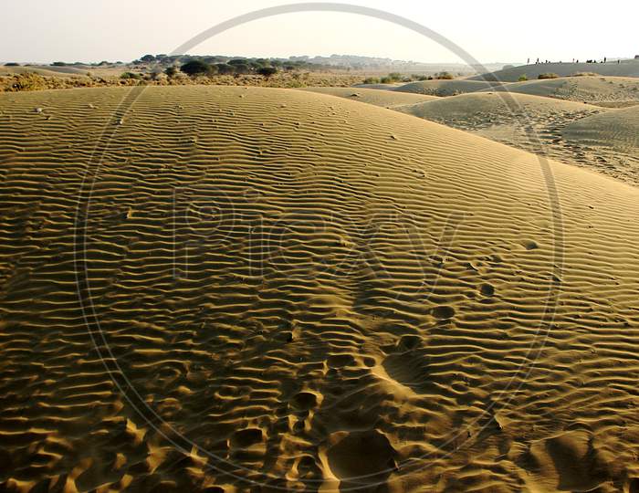 Wavy Pattern On Sand Dune