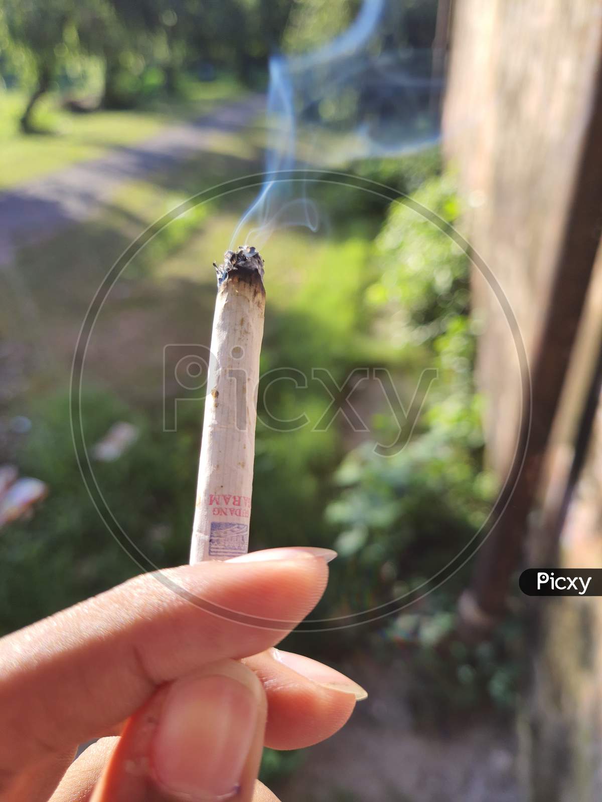lighted cigarette Image of Lighted Cigarette-UF975220-Picxy