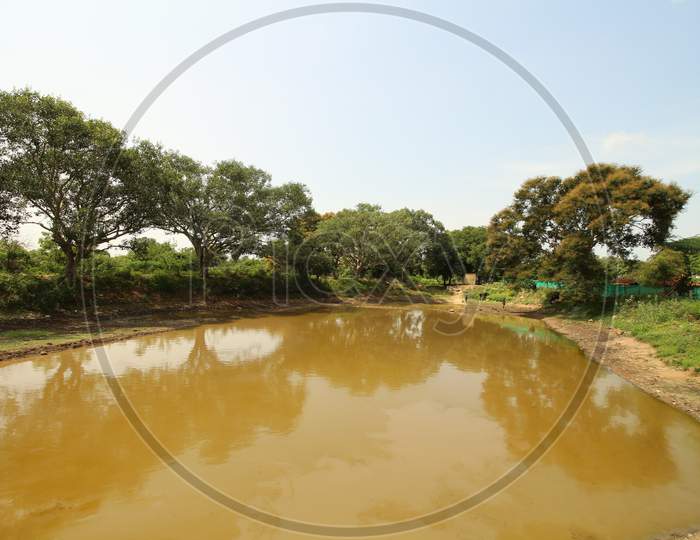 Pond with brown water
