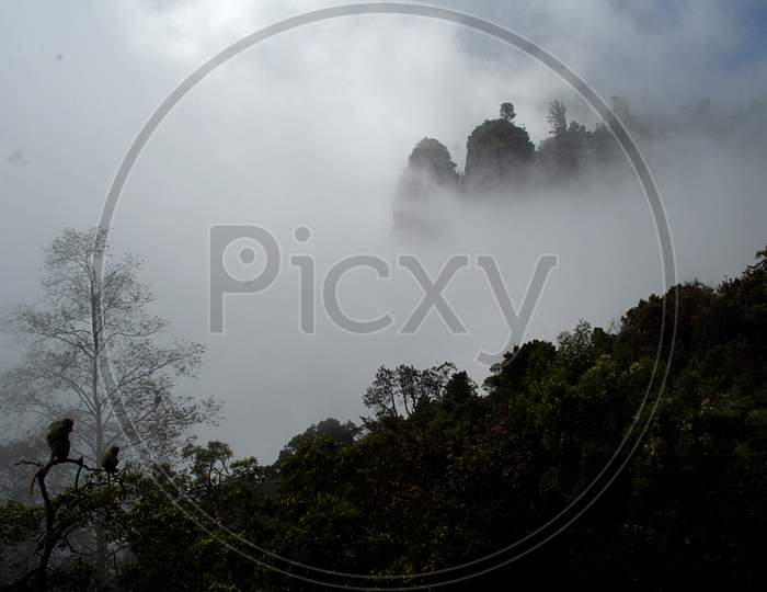 Mist Covered Landscape, Kodaikanal