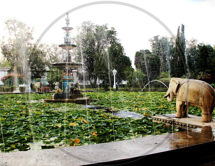 Lotus Pond And Fountains, Udaipur
