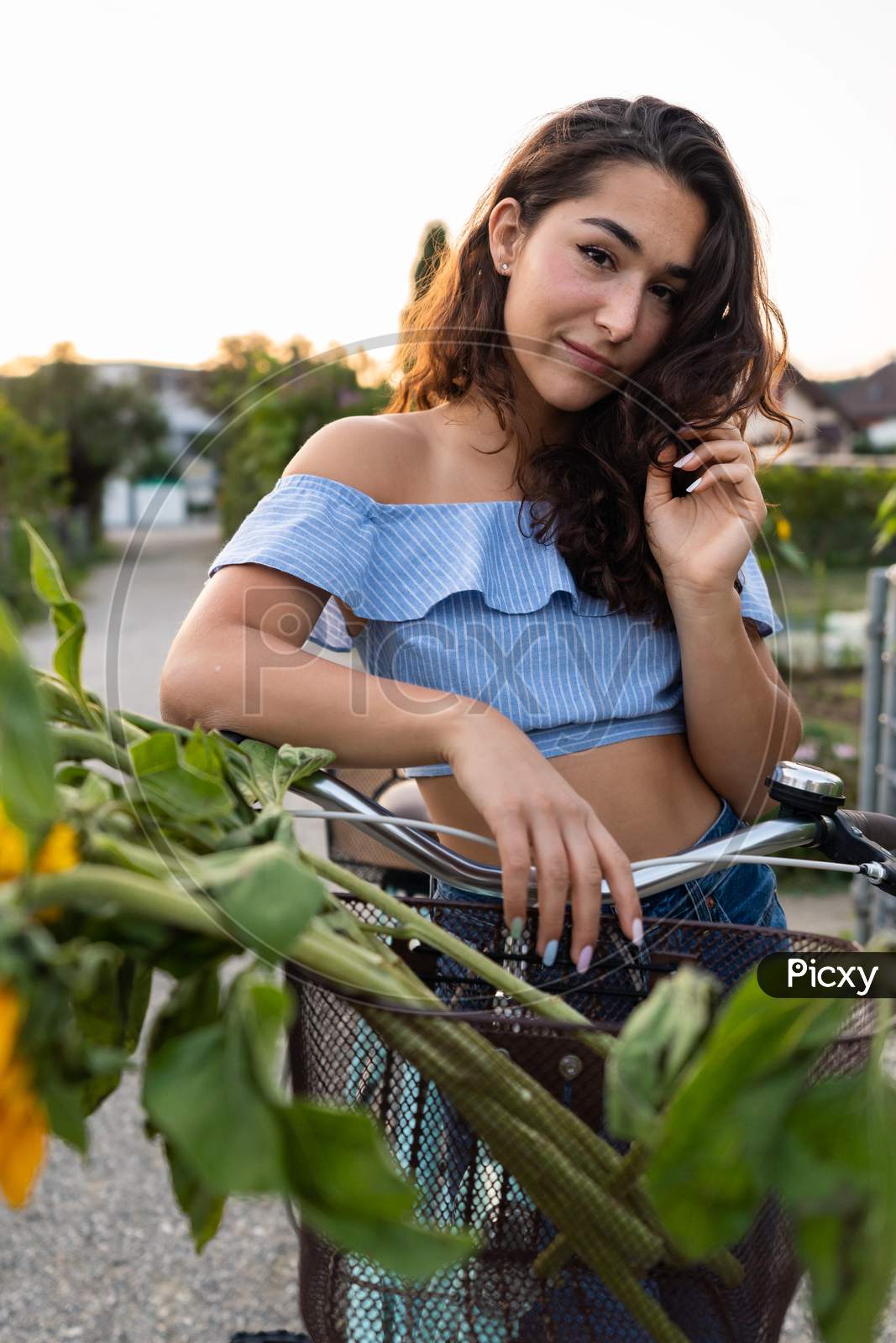 Beautiful Young Lady Walking Through An Allotment While Pushing Her Turquoise Bicycle With Sunflowers In A Basket.