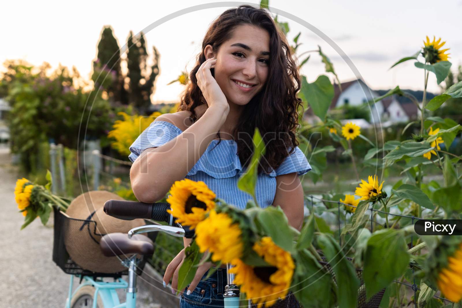 Beautiful Young Lady Walking Through An Allotment While Pushing Her Turquoise Bicycle With Sunflowers In A Basket.