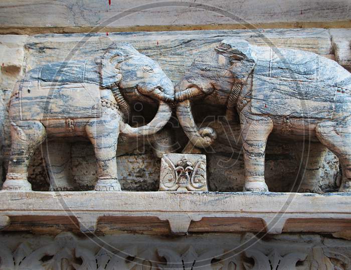 Elephants Face To Face, Udaipur