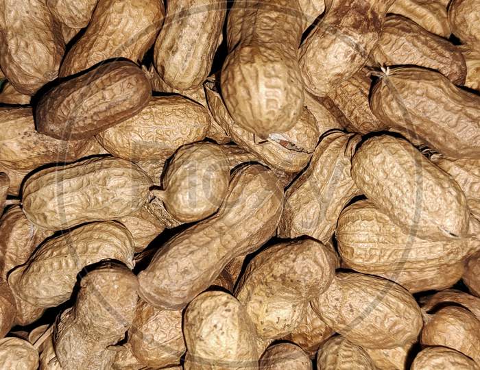 Peanut's / Ground nut's