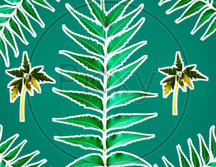 Pattern With Azadirachta Indica Or Neem Leaves And Small Tree
