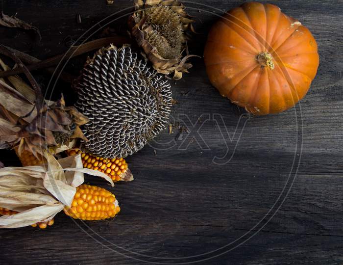 Top View Of Autumn Harvest With Place For Text