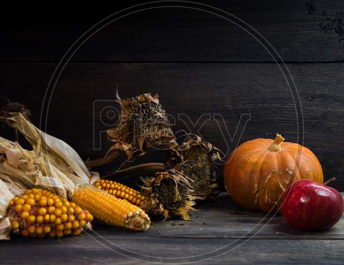 Autumn Harvest Concept With Corn Squash Sunflowers And Apples On Rustic Background