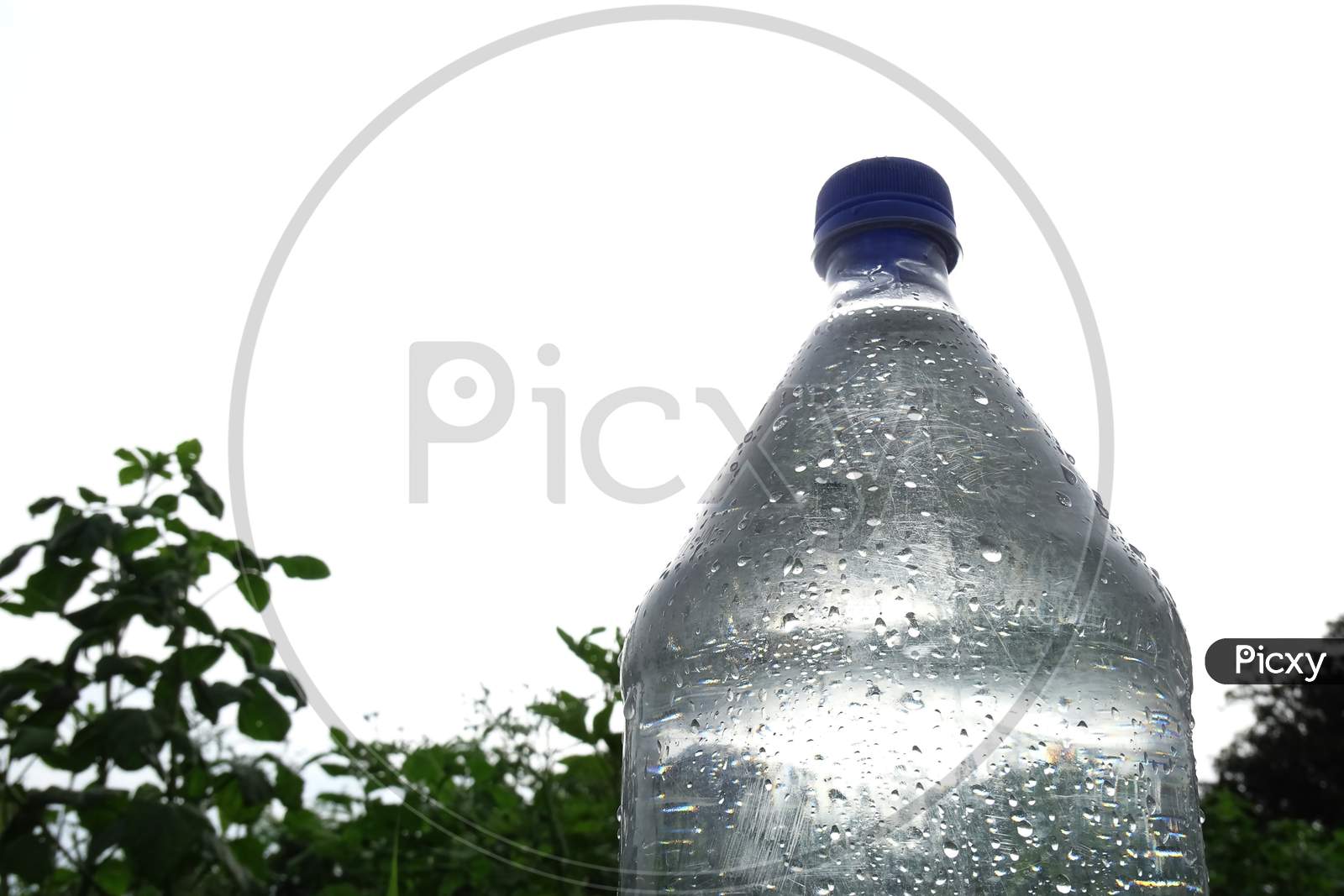 Close up a fresh bottle of drinking water on grass field at the park with blur a big tree trunk and warm light