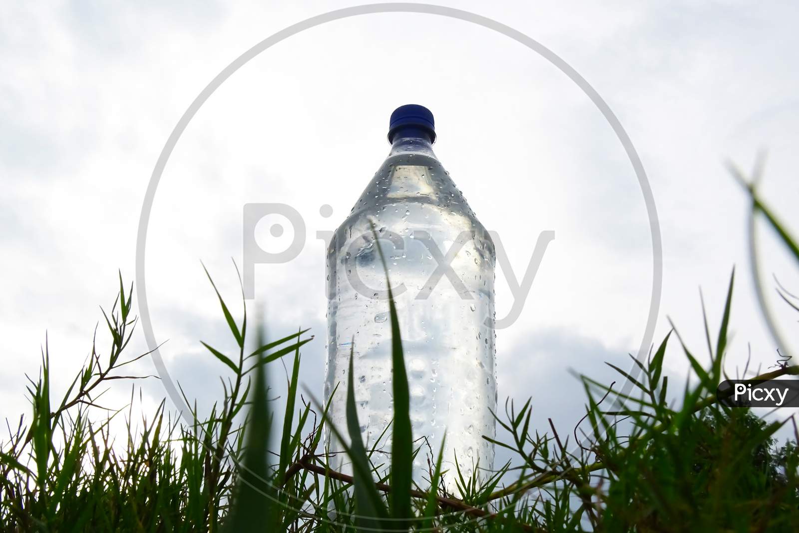 Close up a fresh bottle of drinking water on grass field at the park with blur a big tree trunk and warm light
