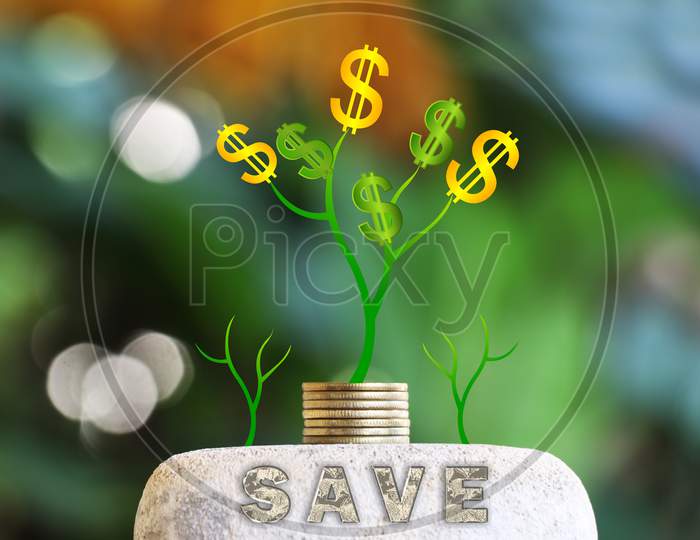 Save Money On Rock In Nature Background Concept Photo
