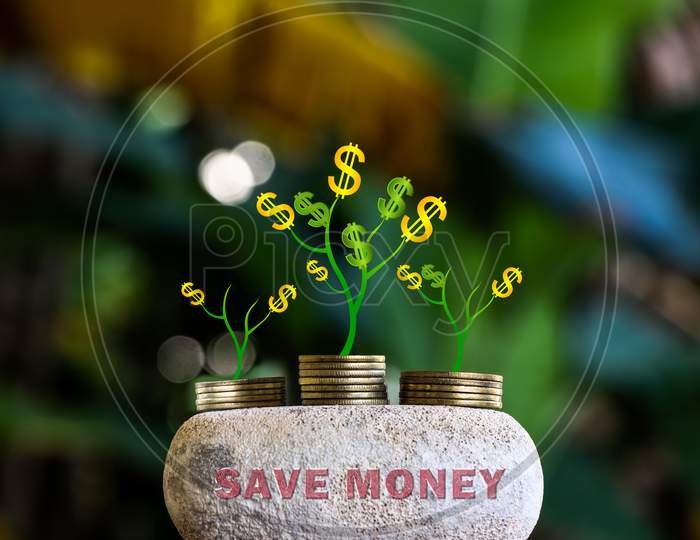 Money Growth In Rockl And Tree Concept, Business Success Finance , Save Money Concept