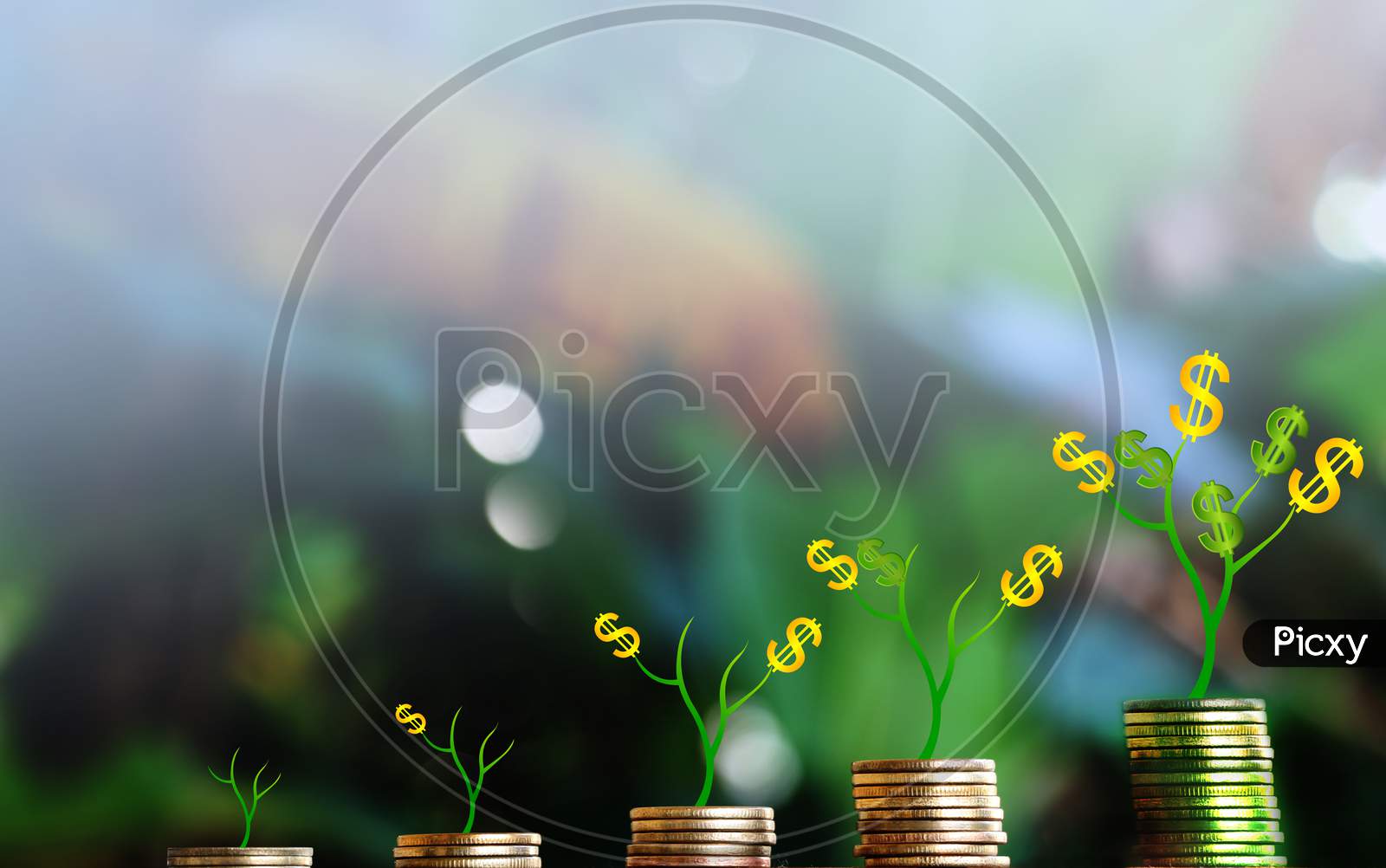 Plant Grow On Money Stacks In An Environment With This Money-Saving And Sustainable Business Investment Idea