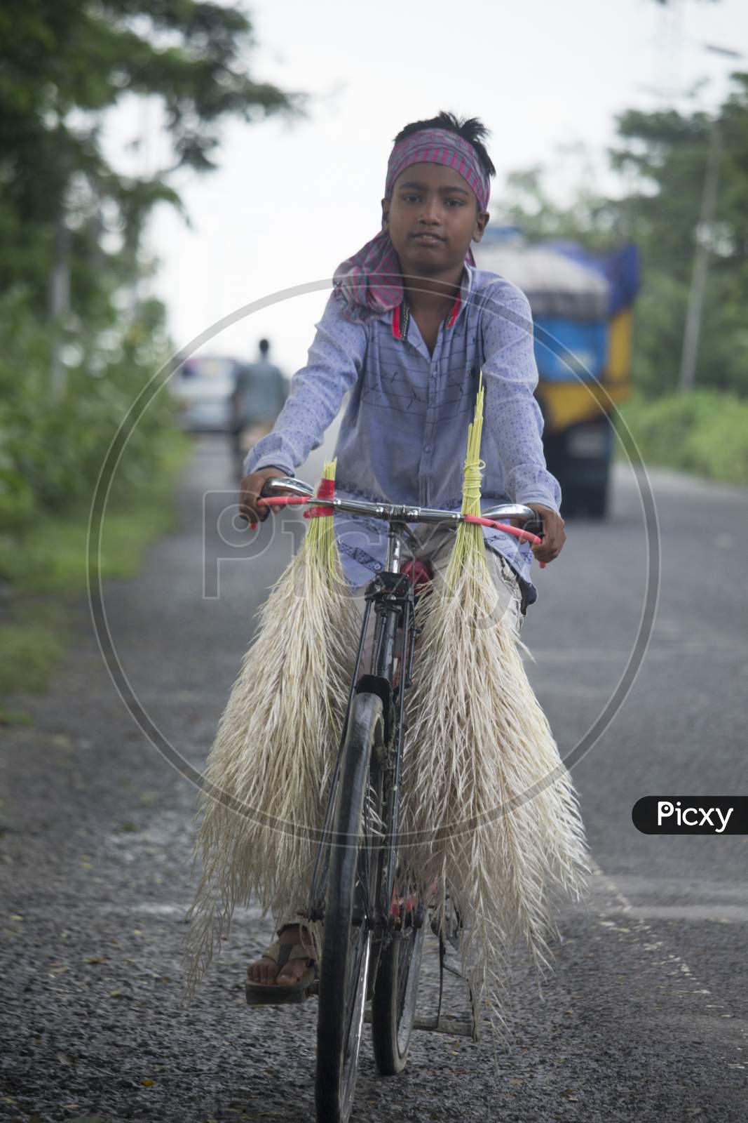 September 23, 2020, Barisal Airport, Barisal, Bangladesh. A Child Is Carrying Cashew Flowers On A Bicycle