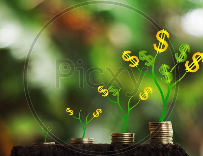 Money Growth In Soil And Tree Concept, Business Success Finance , Dollar Money Tree