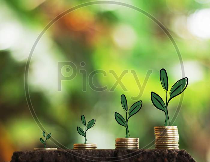 Money Growth In Soil And Tree Concept, Business Success Finance