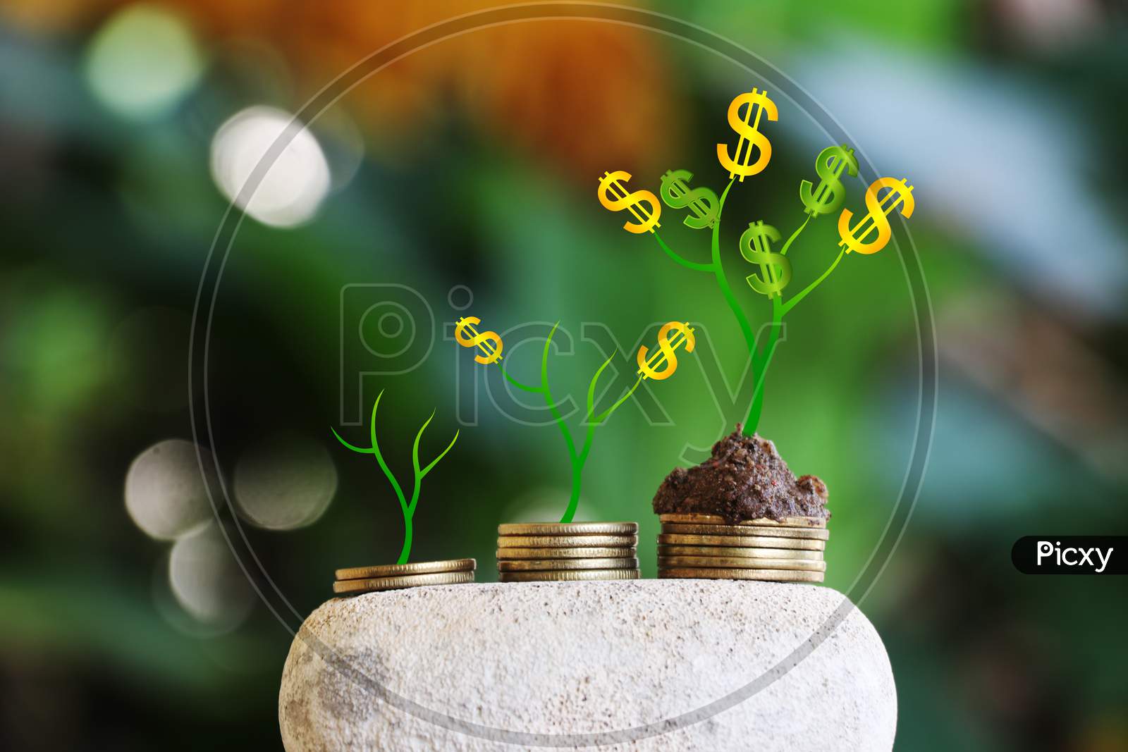 Money Growth In Soil And Tree Concept, Business Success Finance