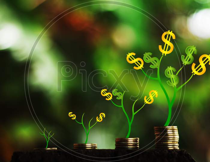 Money Growth In Soil And Tree Concept, Business Success Finance , Dollar Money Tree