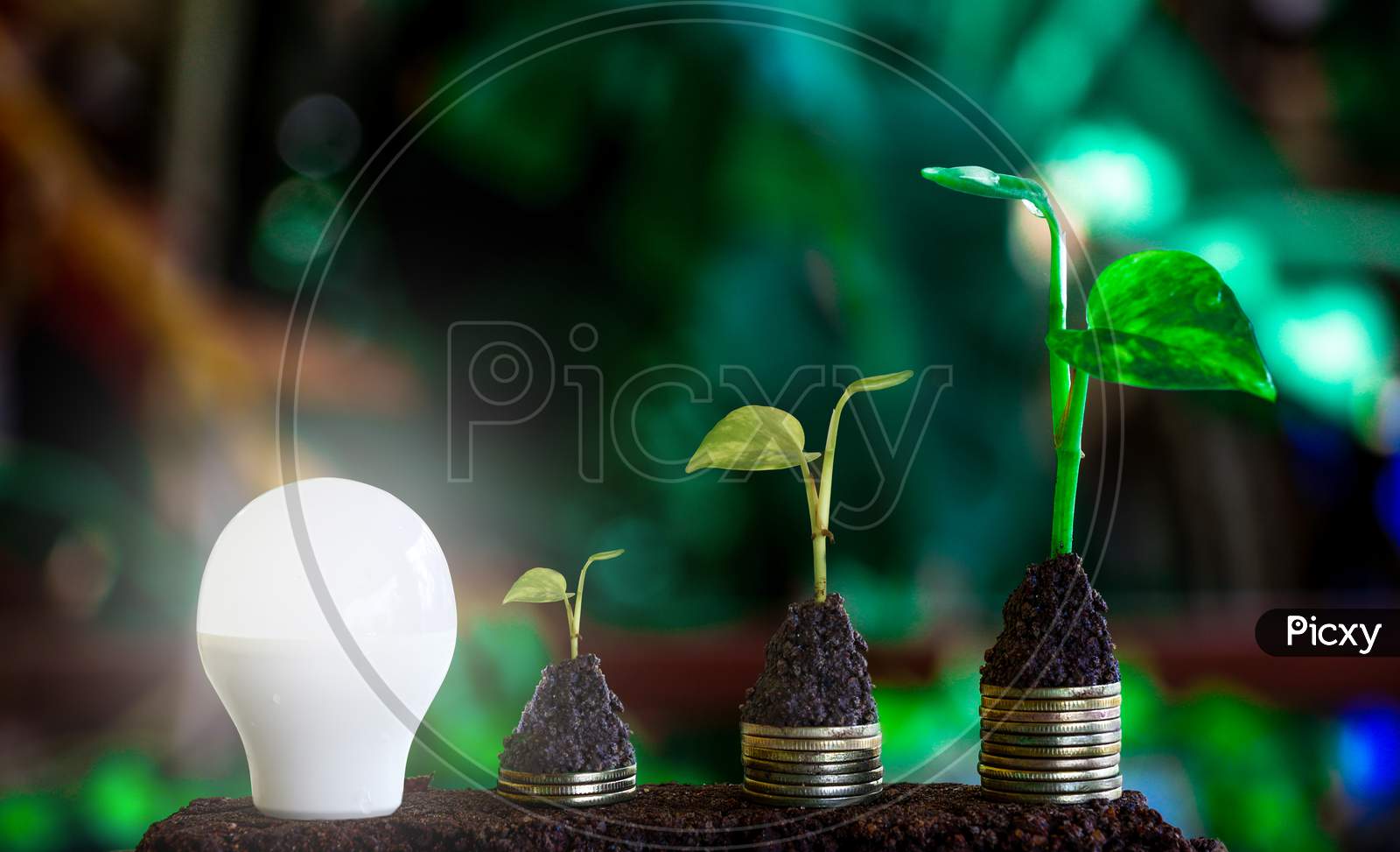 Alternative Energy, Renewable Energy, Saving Energy And Finance, Energy Stock Investment, Tree Growing Up On Coin And Lightbulb On Soil.